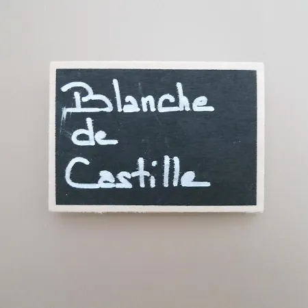 O 36 Rempart Sud 3* 에그모르트