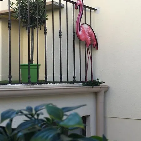 ô 36 Rempart Sud Aigues-Mortes