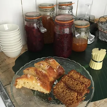 O 36 Rempart Sud Aigues-Mortes