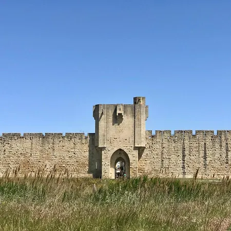 O 36 Rempart Sud Aigues-Mortes