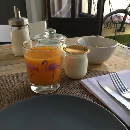 O 36 Rempart Sud Aigues-Mortes